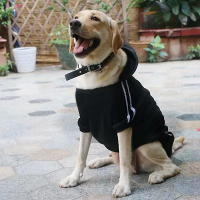 Produktbild von Hund Warme Hoodies Jacke Kleidung Pullover Haustier Welpe T-Shirt Rot 3XL