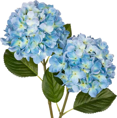 Produktbild von Künstliche Hortensie Real-Touch Kunstblumen Blau 2 Stück 63 cm