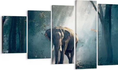 Produktbild von Bild auf Leinwand - Leinwandbild - elefant natur - 100x60cm - Wand Bild - Wanddeko - Wandbilder - Leinwanddruck - Bilder - Kunstdruck - Wanddekoration - Leinwand bilder - Wandkunst - EG100x60-3972