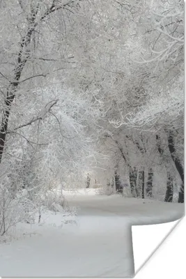 Produktbild von MuchoWow® Poster Bäume - Schnee - Winter 120x180 cm - Kunstposter
