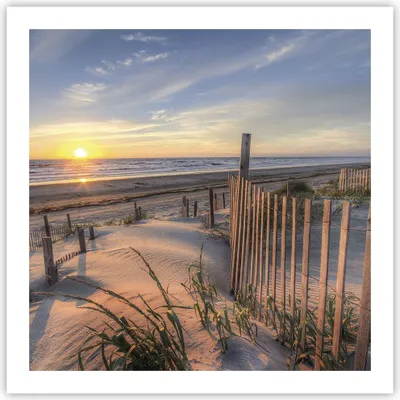 Produktbild von Poster - Poster ohne Rahmen - Westen Sonne Düne - 60x60 cm - Wand Bild - Wanddeko - Wandbilder - Kunstposter - Wandposter - Bilder - Kunstdruck - Wanddekoration - Wandbild - P2XAC60x60-4219