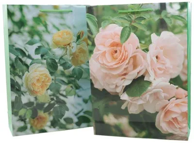 Produktbild von Geschenktasche Blumenmotiv, 25x8,5x34,5cm