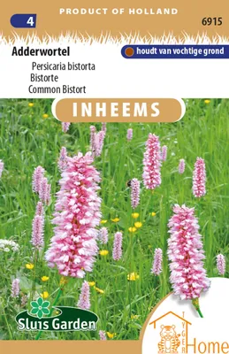 Produktbild von Adderwortel | Einheimische Staude | Rosa Ähren, bevorzugt feuchten Boden | Bistort-Blumensamen
