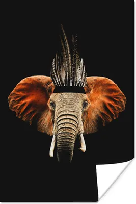 Produktbild von MuchoWow® Poster Elefant - Schwarz - Indischer Kopfschmuck 60x90 cm - Wanddekoration