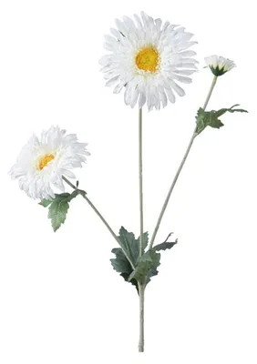 Produktbild von Decoris Kunstblume Gänseblümchen H68cm weiß