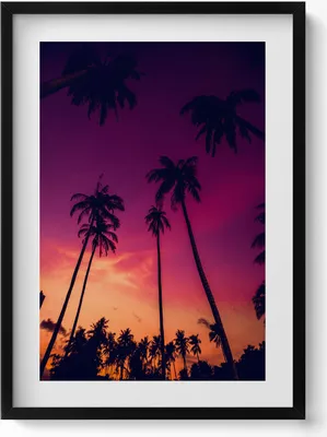 Produktbild von Palmen bei Sonnenuntergang– Wandbild mit Rahmen – Gerahmtes Bild  – Wanddekoration – 50x70 cm –  Schwarz Rahmen