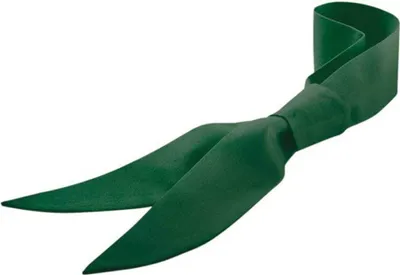 Produktbild von Servicekrawatte flaschengrün : Flaschengrün : 65% Polyester 35% Baumwolle