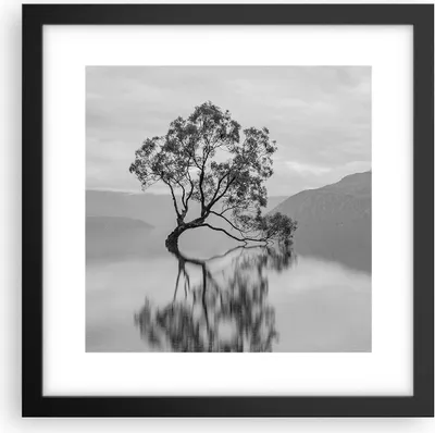 Produktbild von Gerahmtes Poster - Schwarzer Rahmen - Baum Symmetrie See - 30x30 cm - Wand Bild - Wanddeko - Wandbilder - Kunstposter - Wandposter - Bilderrahmen - Bilder - Kunstdruck - P2BAC30x30-4514