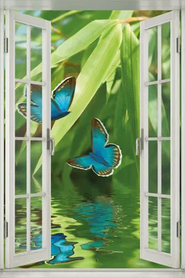 Produktbild von Wallario Poster mit Fenster-Illusion: Schmetterlinge in Reflektion, Größe: 61 x 91,5 cm (Maxiposter)