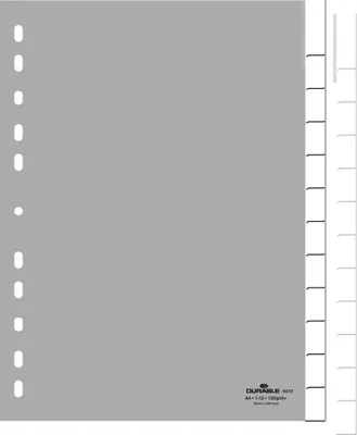 Obrázok produktu pre Durable 6410-10, Karta s prázdnym zoznamom, Polypropylén (PP), Šedá, Portrét, A4, 230 mm