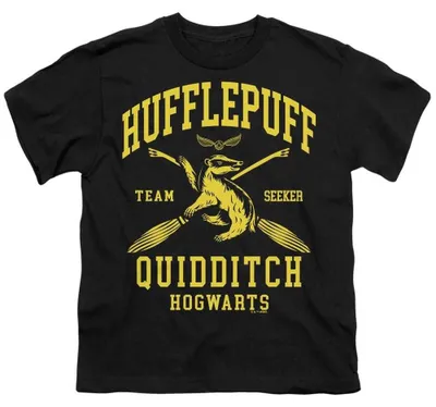 Immagine prodotto di Maglietta per bambini "Arco del Quidditch" di Harry Potter, modello TV36736 (taglia 152-158), colore nero