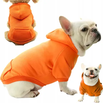 Image de Vêtements pour chiens Veste Sweatshirt avec capuche isolée taille M