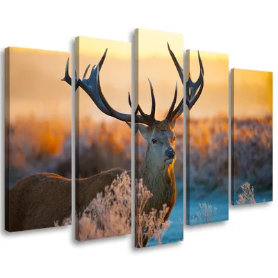 Produktbild von 5-teiliges leinwandbild hirsche tiere 150x100 cm Feeby orange wandbild bereit zum aufhängen