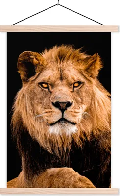 Produktbild von MuchoWow® Textilposter Löwen - Schwarz - Porträt 60x90 cm mit holzfarbenen Rahmen - Textil