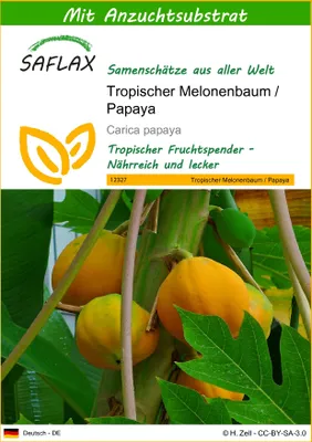 Produktbild von SAFLAX - Tropischer Melonenbaum / Papaya - 30 Samen - Mit keimfreiem Anzuchtsubstrat - Carica papaya