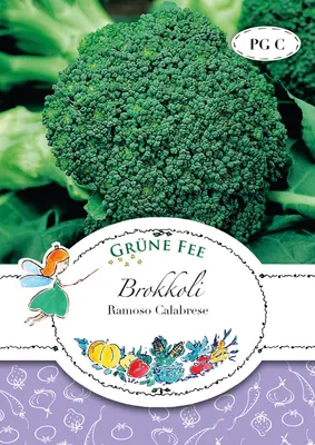 Produktbild von Grüne Fee - Brokkoli Ramoso Calabrese Samen - 11170
