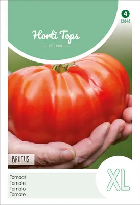 Artikelbild 2 von 'Tomate Brutus' aus der Kategorie Tomatensamen
