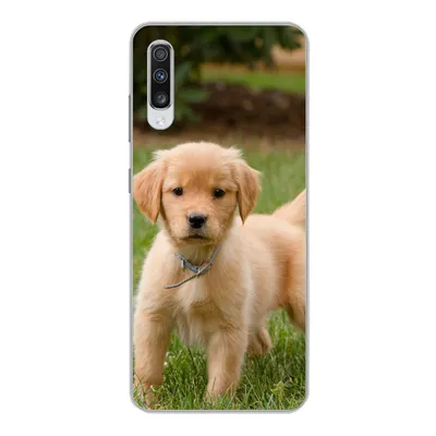 Produktbild von MuchoWow® Handyhülle Schutzhülle Hülle für Samsung Galaxy A70 Golden Retriever Welpe im grünen Gras Silikon Softcase Handy Hülle - Schutzhaube