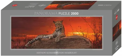 Produktbild von Red Dawn. Puzzle 2000 Teile