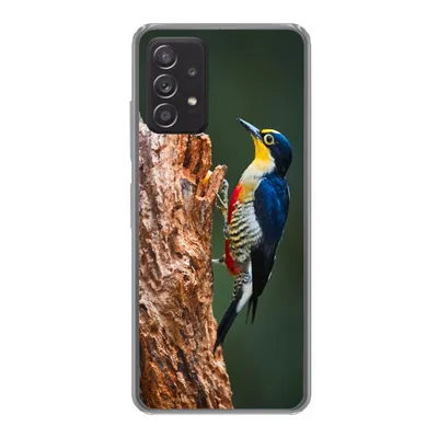 Produktbild von MuchoWow® Handyhülle Schutzhülle Hülle für Samsung galaxy a73 Nahaufnahme eines bunten Vogels auf der Seite eines Baumstamms Silikon Softcase Handy Hülle - Handyhülle