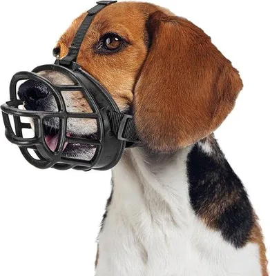 Produktbild von Famanu Hundemantel atmungsaktiv - Schwarz, S/M/L