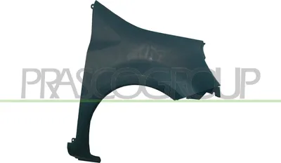 Produktbild von PRASCO RN3083003 Kotflügel Vorne Rechts für RENAULT MODUS / GRAND MODUS (F/JP0)