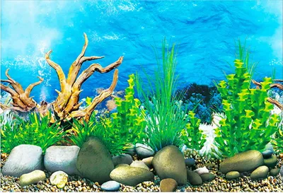Produktbild von Aquarium-Hintergrund, doppelseitig, 3D-Effekt, klarer Druck, Terrarium, Unterwasserwelt, Aquarium-Dekoration, Poster, Hintergrundbild