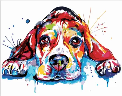 Produktbild von Malen-nach-Zahlen mit einem Rahmen Gemälde - Bunter Hund 50 x 40 cm