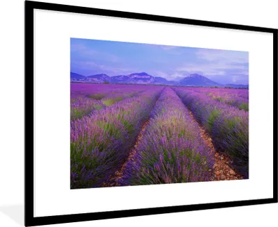 Produktbild von MuchoWow® Gerahmtes Poster Lavendelfelder in der Abenddämmerung 90x60 cm - Poster mit Schwarzem Bilderrahmen Wandposter Rahmen Foto Bilder - Wanddekoration - Fotos