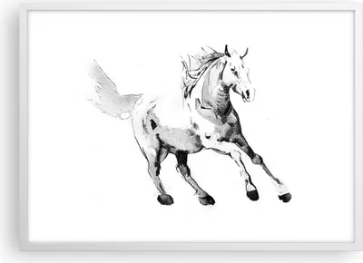 Produktbild von Gerahmtes Poster - Weißer Rahmen - Pferd Galopp Tier - 70x50 cm - Wand Bild - Wanddeko - Wandbilder - Kunstposter - Wandposter - Bilderrahmen - Bilder - Kunstdruck - Wanddekoration - P2WAA70x50-5117