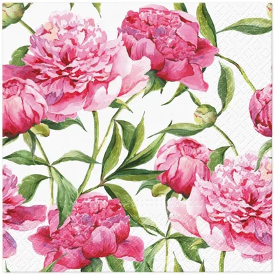 Zdjęcie produktu dla Serwetki papierowe Peonie 33x33 cm 20 sztuk
