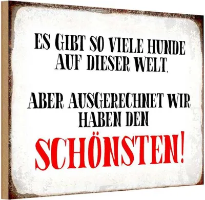 Produktbild von vianmo Holzschild 20x30 cm wir haben den schönsten Hund Tier Haustier