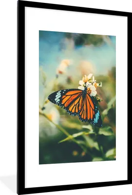 Produktbild von MuchoWow® Gerahmtes Poster Schmetterling - Blumen - Garten 60x90 cm - Poster mit Schwarzem Bilderrahmen Wandposter Rahmen Foto Bilder - Dekoration - Wandposter Wohnzimmer - Hochwertig