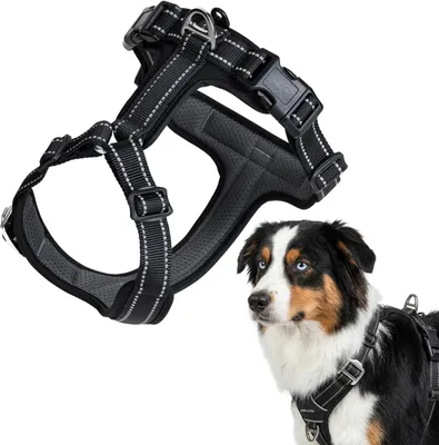 Produktbild von Hundegeschirr M, verstellbar, Nylon, für Spaziergang, schwarz