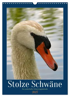Produktbild von Stolze Schwäne (Wandkalender 2027 DIN A3 hoch), CALVENDO Monatskalender