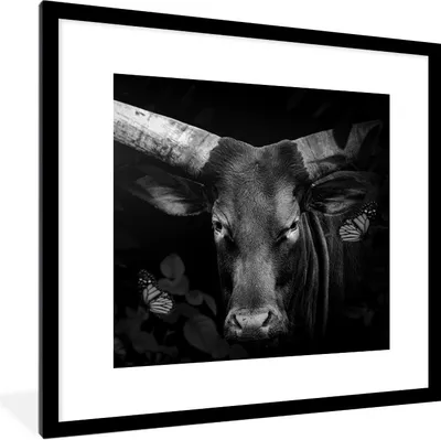 Produktbild von MuchoWow® Gerahmtes Poster Tiere - Kuh - Dschungel - Schwarz - Weiß 40x40 cm - Poster mit Schwarzem Bilderrahmen Wandposter Rahmen Foto Bilder - Poster - Plakat im Rahmen