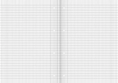 Produktbild von Schulheft A4 16 Blatt rautiert Lineatur 39 16 Blatt Packung mit 25 Stück