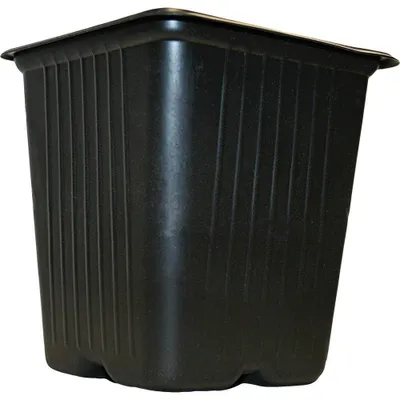 Image de Godets à semis carrés - Plastique - 11 cm - Lot de 5