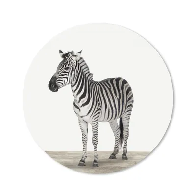Produktbild von MuchoWow® Mauspad Mousepad Zebra - Mädchen - Tiere - Kinder - Jungen 50x50 cm - Mousepads - Maus Mat - Pad - Mausunterlage - Vinyl