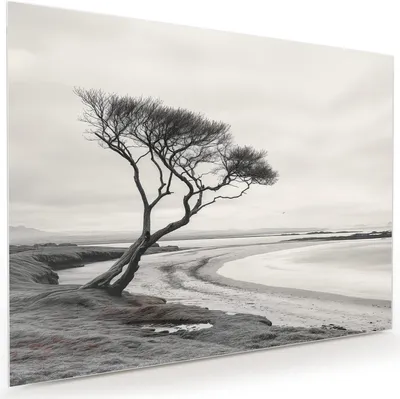 Produktbild von Glasbild 120x90cm in XXL für Wohnzimmer, Schlafzimmer Motiv Einsamer Baum am Meer