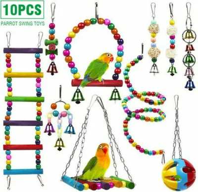 A collage of various colorful parrot toys, including swings, ladders, and hanging toys with bells and natural materials. Two parrots are featured on some of the toys.