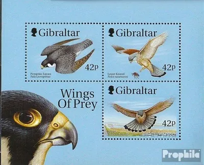 Produktbild von Briefmarken Gibraltar 1999 Mi Block39 (kompl.Ausg.) postfrisch Kampfflugzeuge