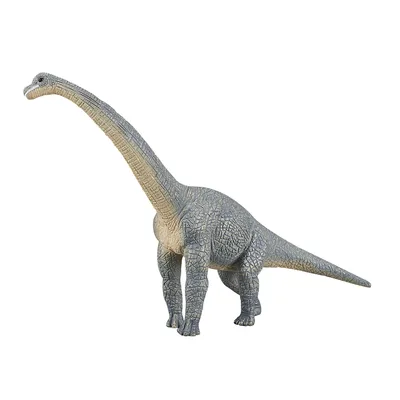 Produktbild von Mojo 387044 Animal Planet Brachiosaurus, grau ca. 21 x 5 x 14 cm