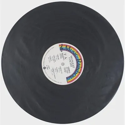 Obrázek produktu pro Muziker Pack - HDPE Matt Plastic Inner Obaly na LP desky (12" Vinyl) 50
