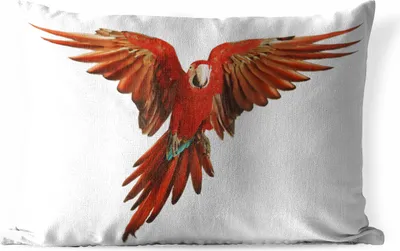 Produktbild von MuchoWow® Outdoor Kissen - Ara - Vogel - Federn - Weiß - 60x40 cm - Wetterfest - Lounge Kissen - Zierkissen - Kissen für Innenräume