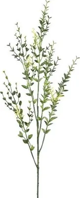 Produktbild von artplants.de Deko Zweig Liguster SLONTE mit Blüten, grün, 75cm - Kunst Ligusterzweig