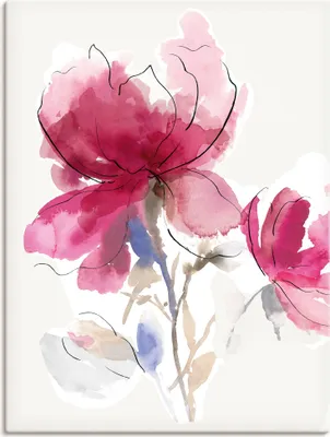 Produktbild von ARTland Leinwandbild Rosige Blüte I. Größe: 50x70 cm