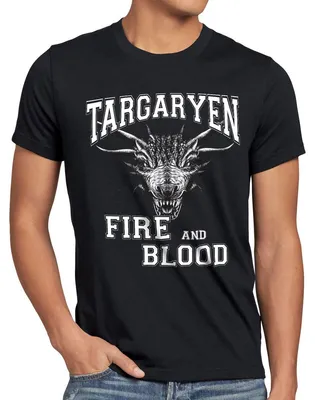 Produktbild von style3 Targaryen - Fire and Blood Herren T-Shirt