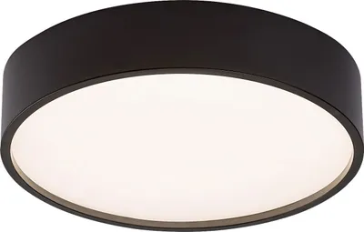 Image de Plafond 28 cm LED 18W noir rond Larcia 75009 Rabalux