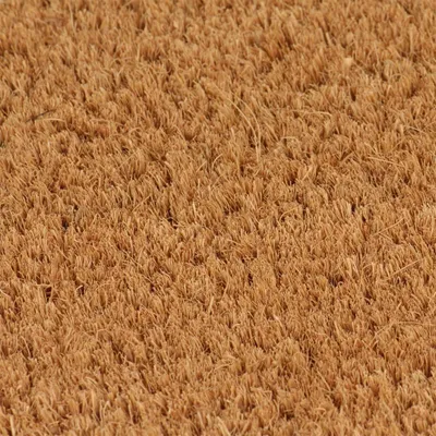 Obrázok produktu pre vidaXL Rohožka Nature 40x60 cm s kokosovým vláknom